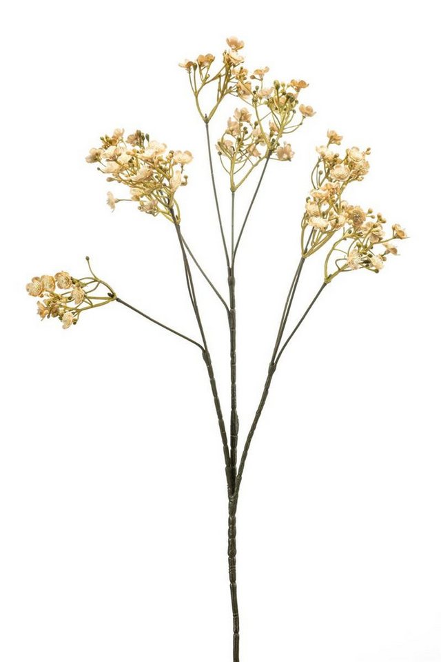 Kunstpflanze Kunstpflanze Schleierkraut LITAGO, Trockenoptik, beige, 70cm, Ø1,5cm Schleierkraut, artplants, Höhe 70 cm