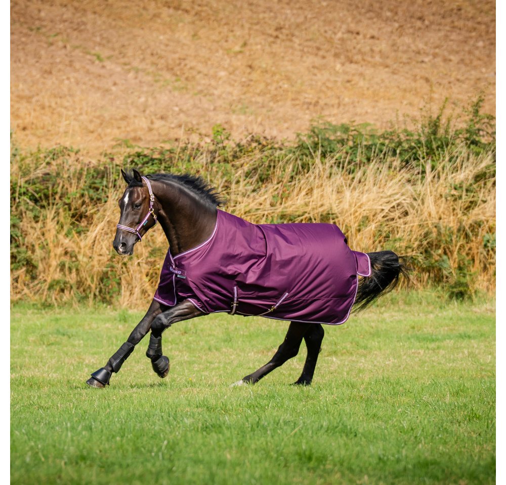 Bucas Pferde-Regendecke Bucas Freedom Turnout 50g