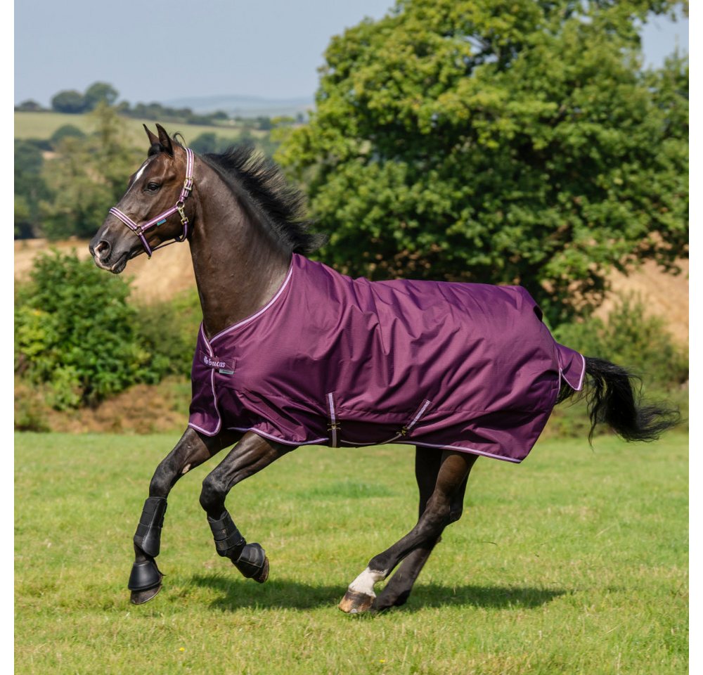 Bucas Pferde-Regendecke Bucas Freedom Turnout 50g Bild 2