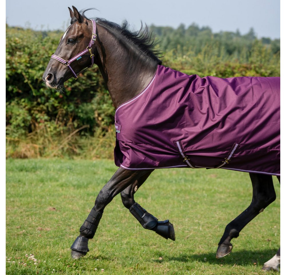 Bucas Pferde-Regendecke Bucas Freedom Turnout 50g Bild 3