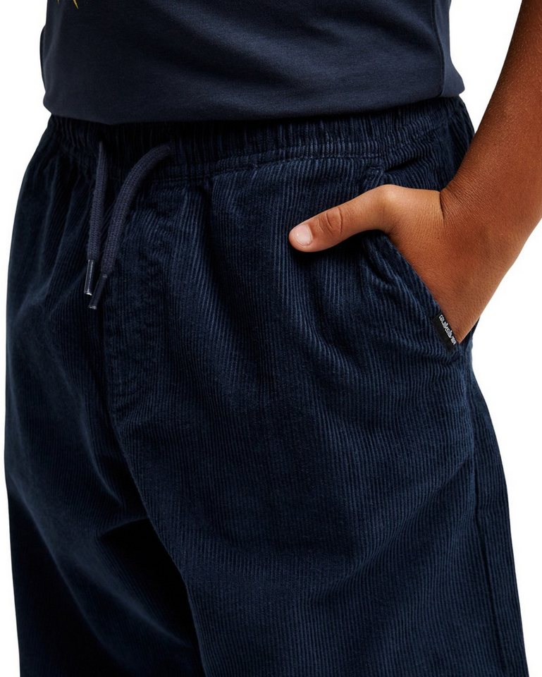 Quiksilver Outdoorhose Taxer Cord Bild 5