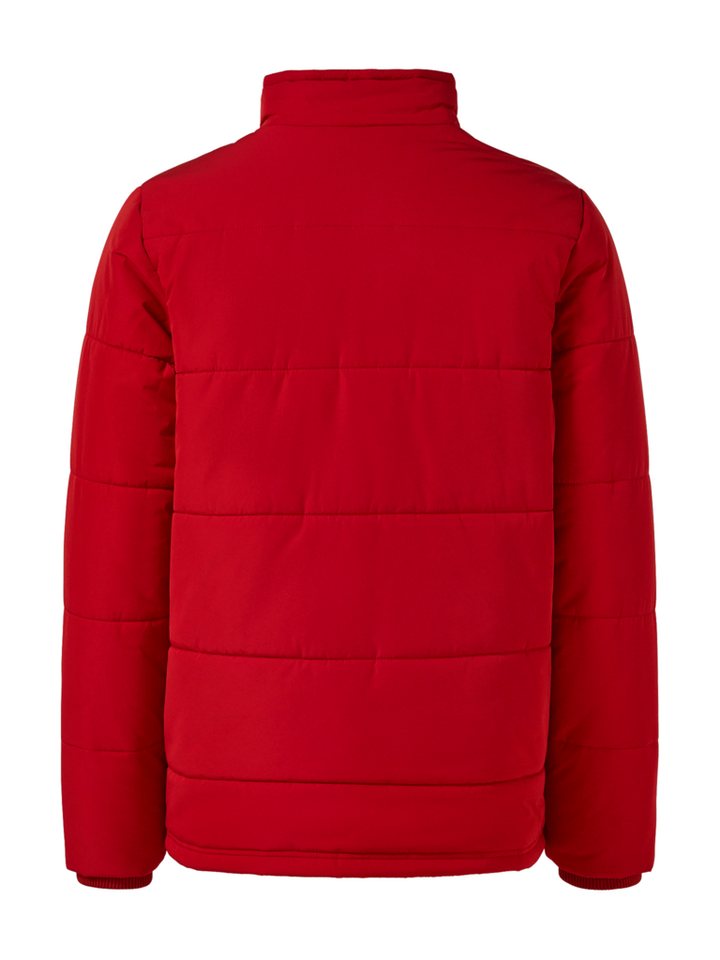 FC Bayern München Outdoorjacke FC Bayern München, Winterjacke Essentials, Herren, Rot