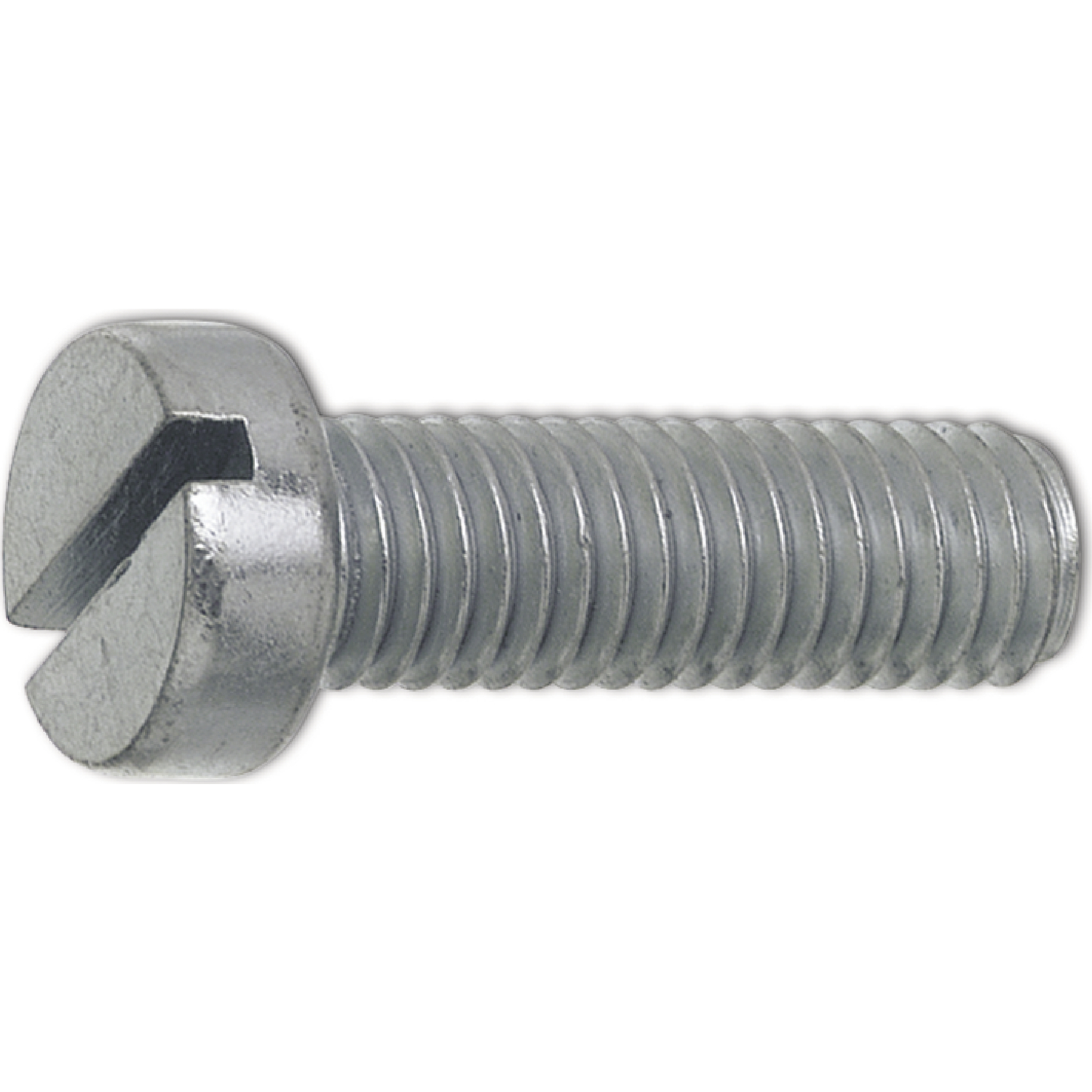 Iso1207 4.8 M 6x 8 Verzinkt Zylinderschraube Mit Schlitz (din84a)