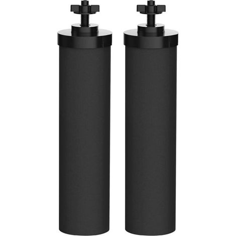 Rhg Bb-9-2 Wasserfilter Kompatibel Mit Ber-key Reinigungselementen Kartuschenelement Schwarz Premium Wasserfilter Kompatibel Mit Serie Travel Big Royal Imperial Crown Light (2 Stück)
