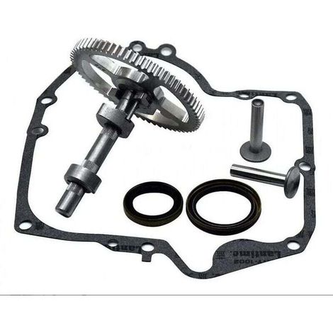 Briggs & Stratton Nockenwelle – Austauschsatz Mit Öldichtungen Und Abdeckung – 793880, 793583, 792681, 795102