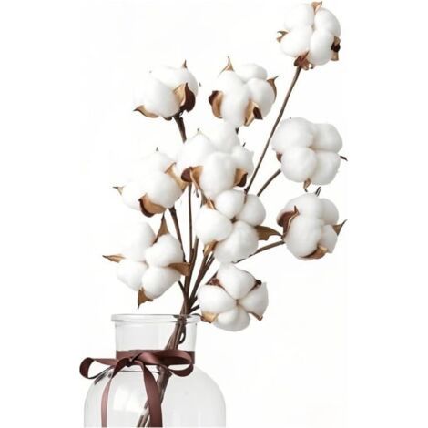 Qorva-10 Natürliche Trockenbaumwollblüten, Trockenbaumwollblumenstrauß, Baumwollzweige, Künstliche Trockenpflanzen Für Balkon, Zuhause, Tisch, Hochzeitsdekoration
