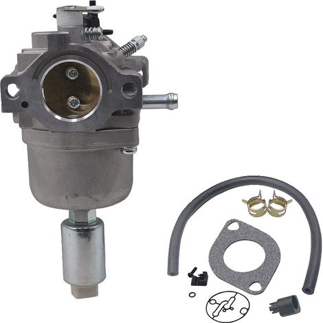 Vergaser Für Briggs & Stratton 287707, 310707, 698620, 791886 – Ersatzteil