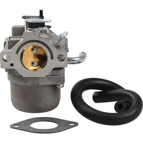 Ersatzvergaser Für Briggs & Stratton 593432, 794653, 590399, 796077 – Rasenmäher