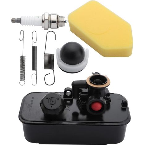 Vergaser Und Kraftstofftank Für Briggs & Stratton – 795469, 794147, 498809 – Mit Zündkerze Und Primerpumpe