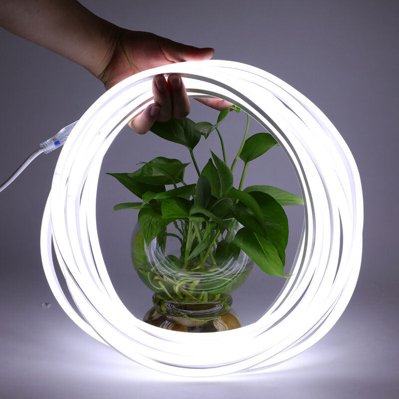 5m Led-streifen Für Den Außenbereich, Bagzy Wasserdichter Neonstreifen 220v Outdoor Led/m Flexibler Diy-lichtstreifen Für Die Dekoration Von Weihnachtsfeiern Im Innen- Und Außenbereich, Mit Netzteil U