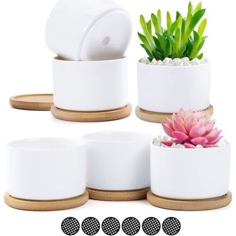 Garden Future 6er-set Weiße Keramik-sukkulententöpfe, Kleine Blumentöpfe Mit Bambusuntersetzer Für Blumen, Pflanzen Und Kräuter – Geschenk Für Hochzeiten, Weihnachten Und Geburtstage