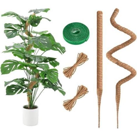 Alliandis 2er-pack Monstera-stütze 120 Cm Kokosfaser, Flexibler Schaumstoff Mit Zubehör, Kokosfaser Für Kletterpflanzen Im Innenbereich