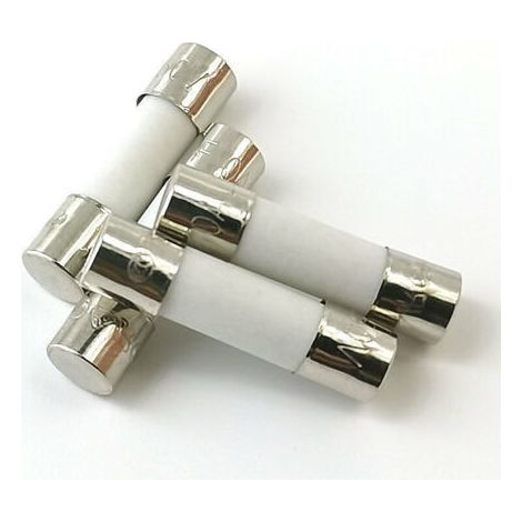 Alliandis 10x Zeitträge Keramiksicherung (t) 10a / 250vac 5x20mm