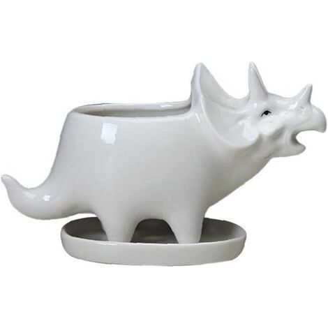 Alliandi Sukkulenten-pflanztopf Dinosaurier-pflanzgefäß Mit Keramikschale, Niedlicher Triceratops, Weiße Kaktusblume, Outdoor-blumentopf