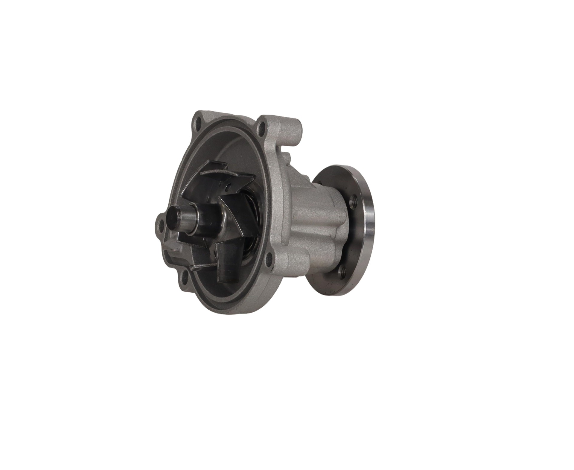 Ft04460 Schnellwasserpumpe