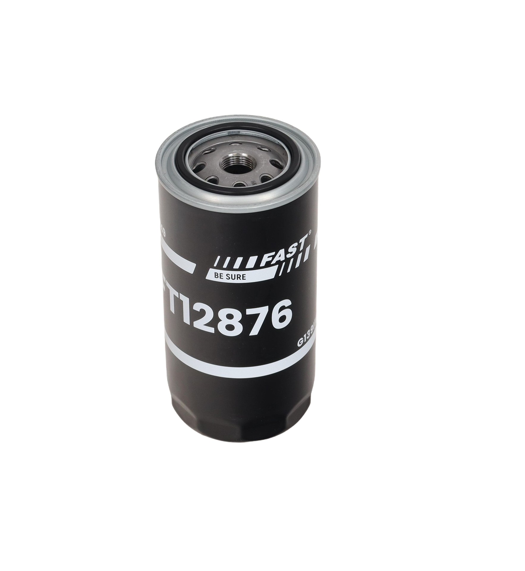 Ft12876 Schnellkraftstofffilter