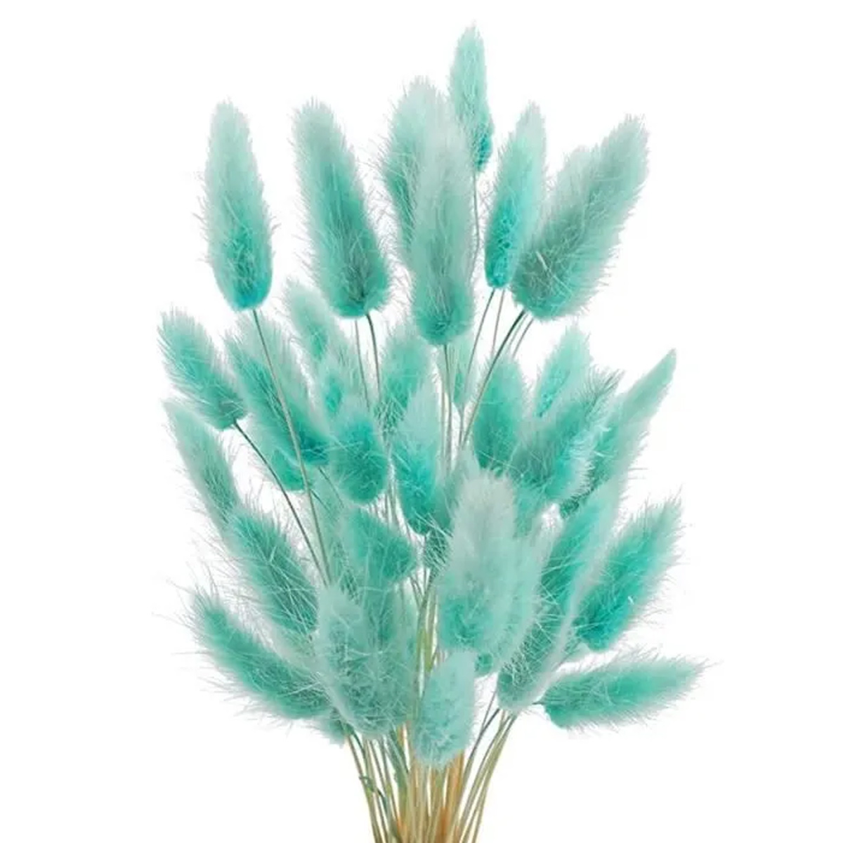 Getrocknete Pampasgrasblumen – 60 Stück – Blau – Farbecht – Natürliche Dekoration