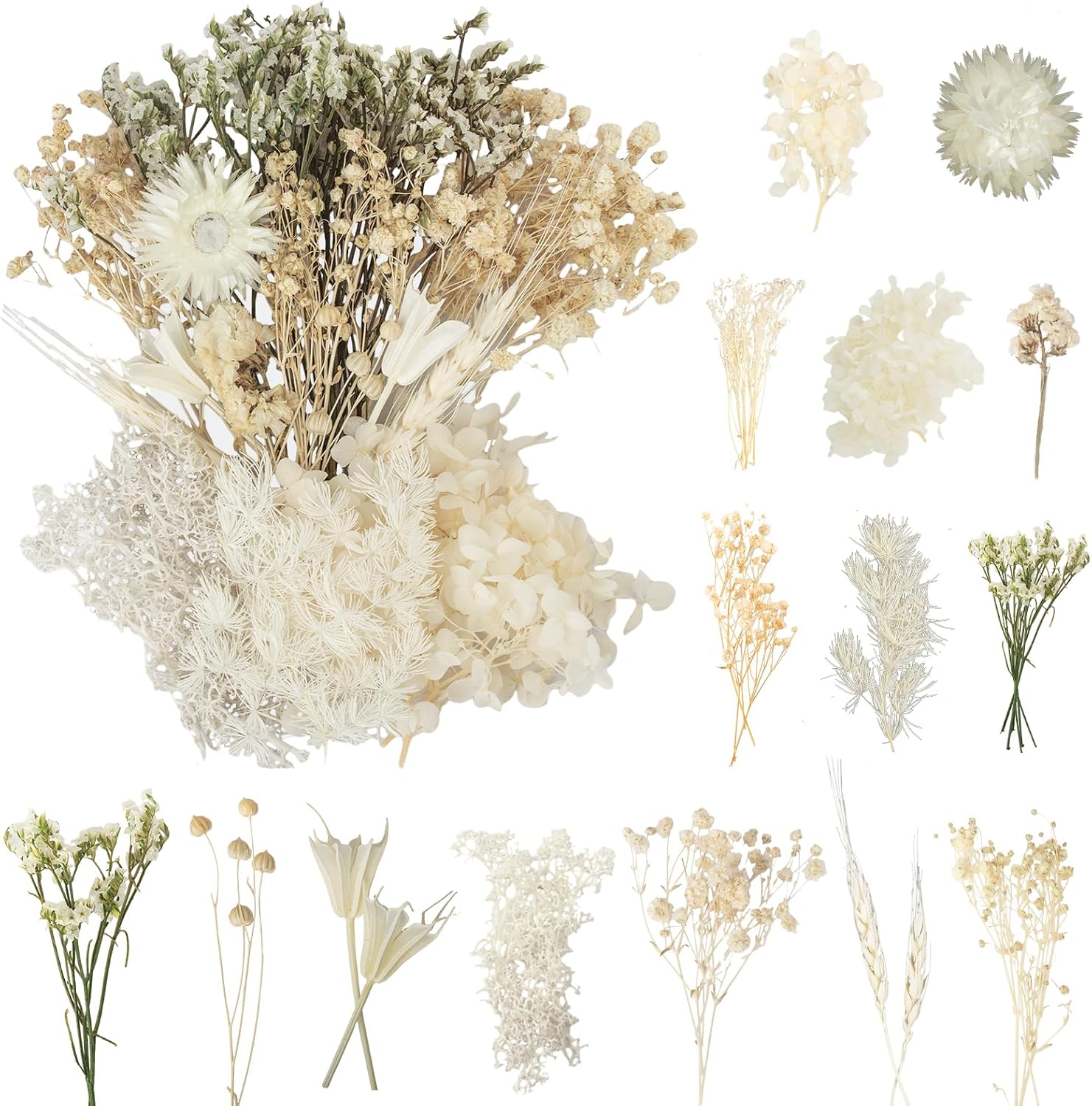 Trockenblumen, Konservierte Blumen, Bilderrahmen, Gepresste Blumen, Set Mit Schwimmenden Materialien, Handgefertigter Aromatherapie-fächer, Aktivitätssalon, Teambuilding, Grenzüberschreitender Großhan