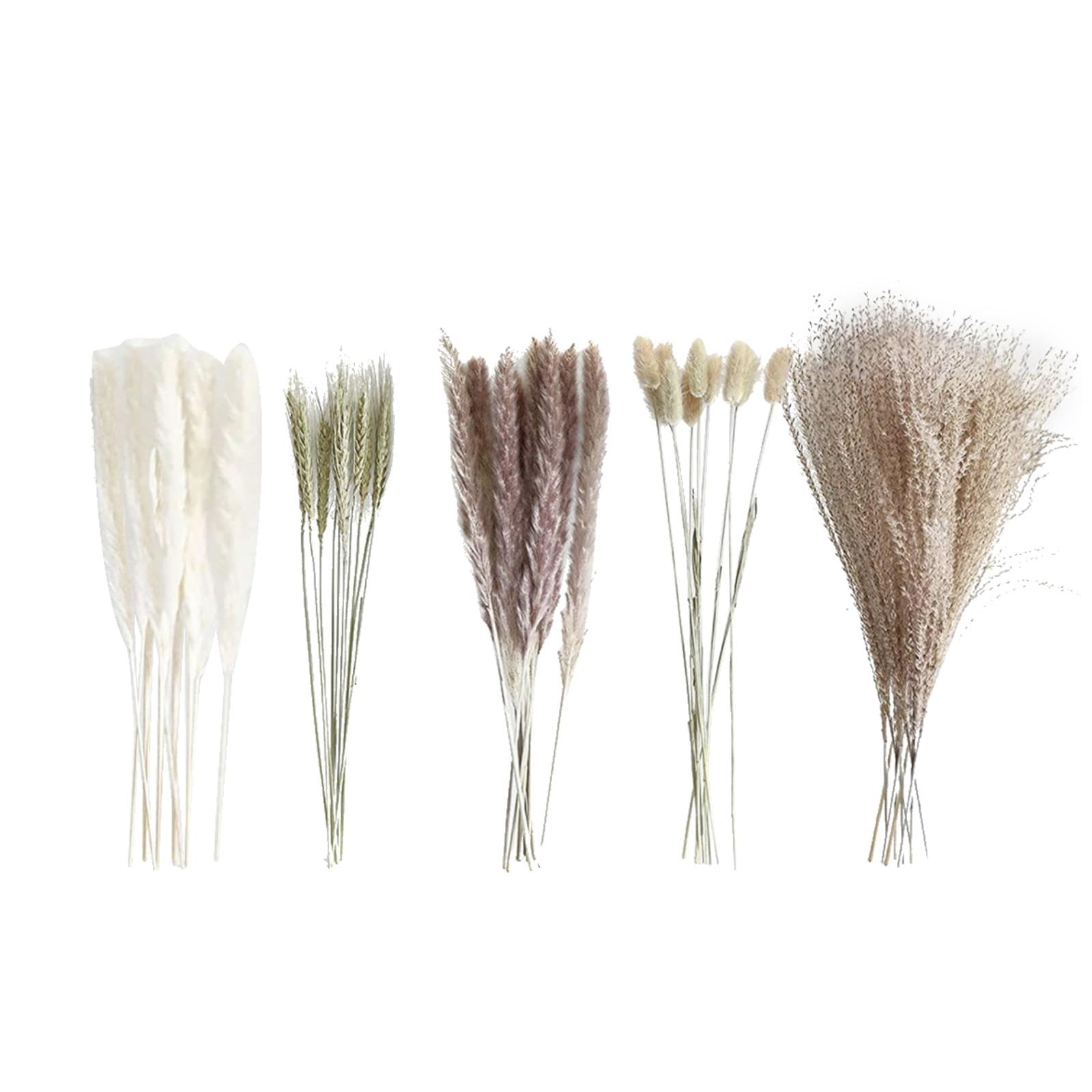 Künstliche Blumen, Kleiner Strauß Getrockneter Schilfblumen, Kleiner Strauß Getrockneter Flüsterblumen, Kleine Getrocknete Pampasgrasblumen, Kaninchen, W1-khaki