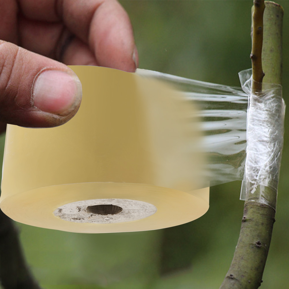 Rolle Selbstklebendes, Flexibles Und Dehnbares, Transparentes Veredelungsband Für Den Garten, 5 Cm