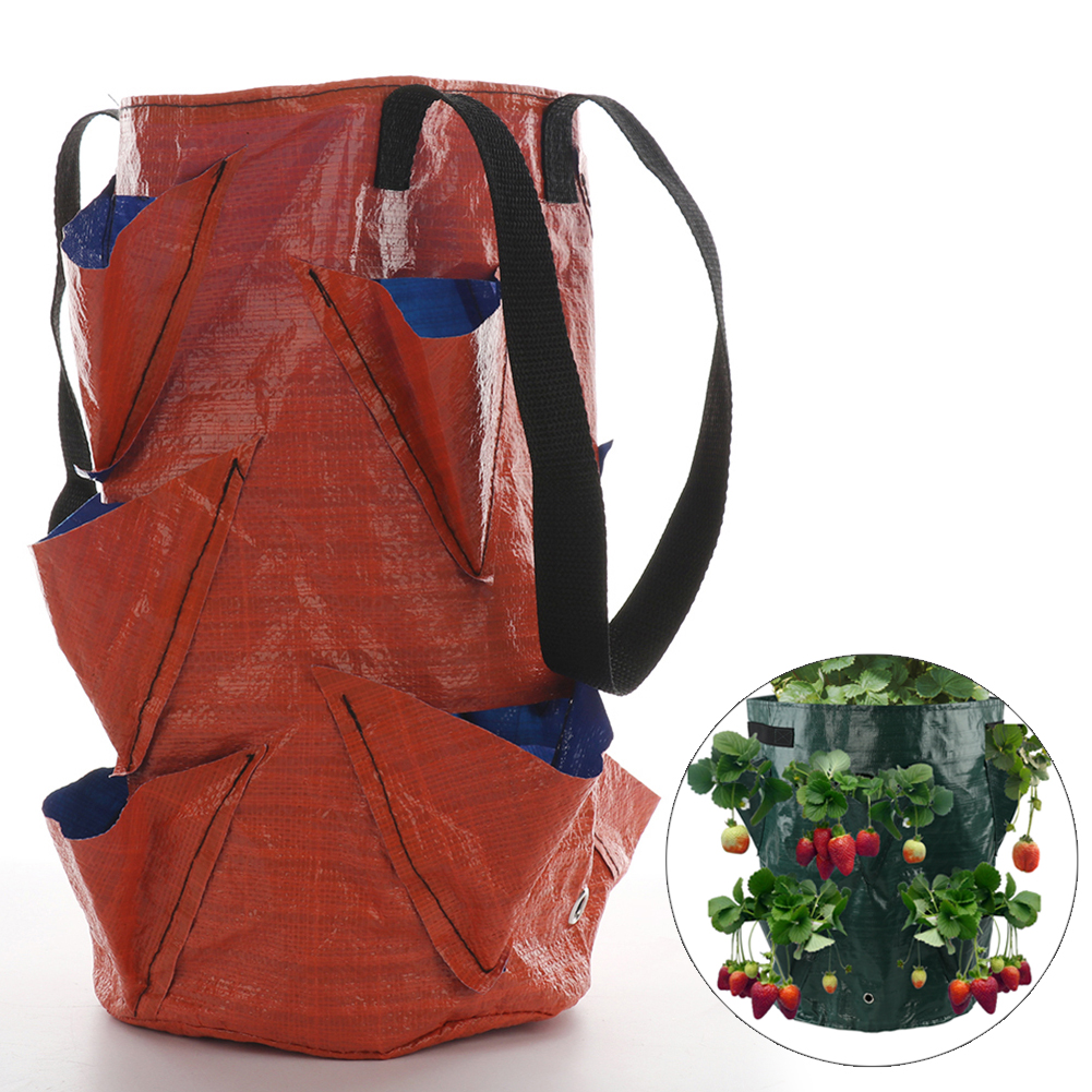 3er-pack Erdbeerpflanzbeutel Aus Pe-kunststoff, 3 Gallonen (ca. 11,4 Liter) Fassungsvermögen, Geeignet Für Erdbeeren, Gemüse, Blumen Und Orangen.