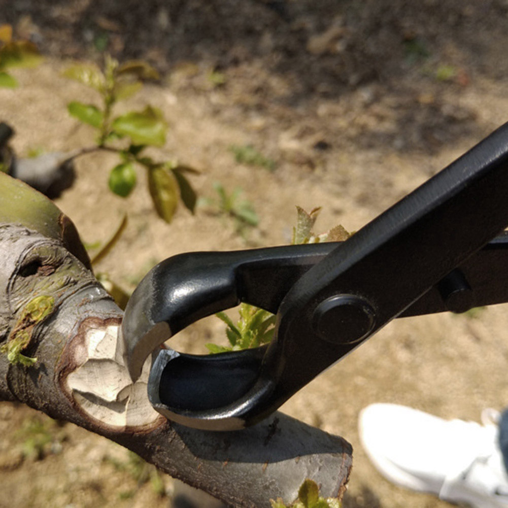 185 Mm Kugel-astschneider, Kleine Bonsai-schere, Zange, Garten-topfpflanzenwerkzeug