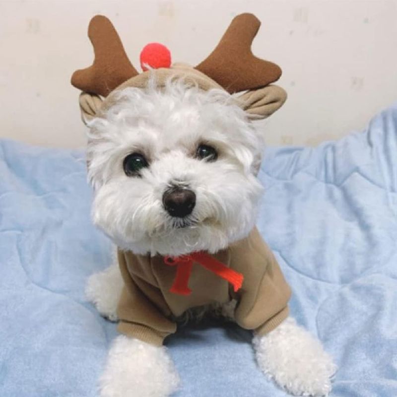 Hunde- Und Katzenpullover, Weihnachtskostüm, Warmer Hoodie, Cosplay-outfit Für Kleine Und Mittelgroße Hunde Und Katzen, Elchmotiv, Größe M