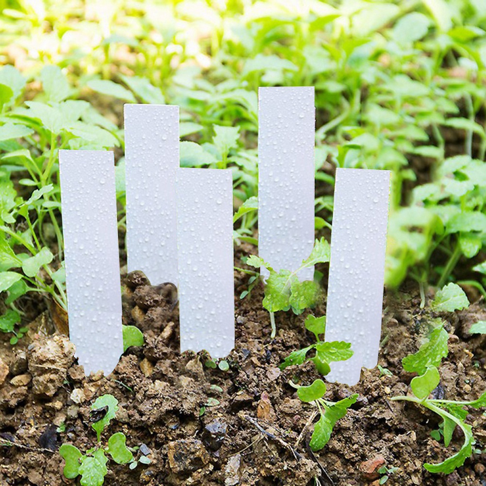 100 Stück Pflanzenetiketten Aus Kunststoff, Topfetiketten, Anzucht- Und Gartensamenetiketten (weiß)