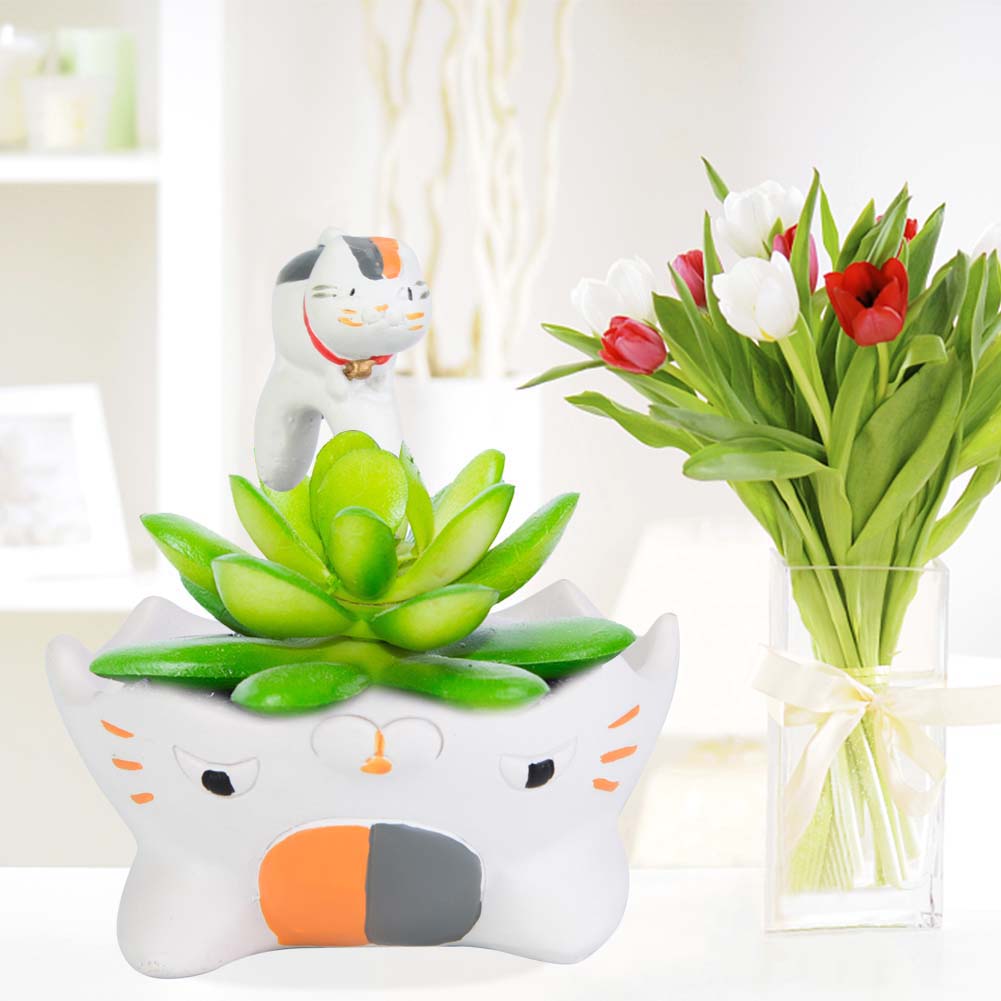 Harztopf Für Sukkulenten, Blumentopf, Garten, Weiß