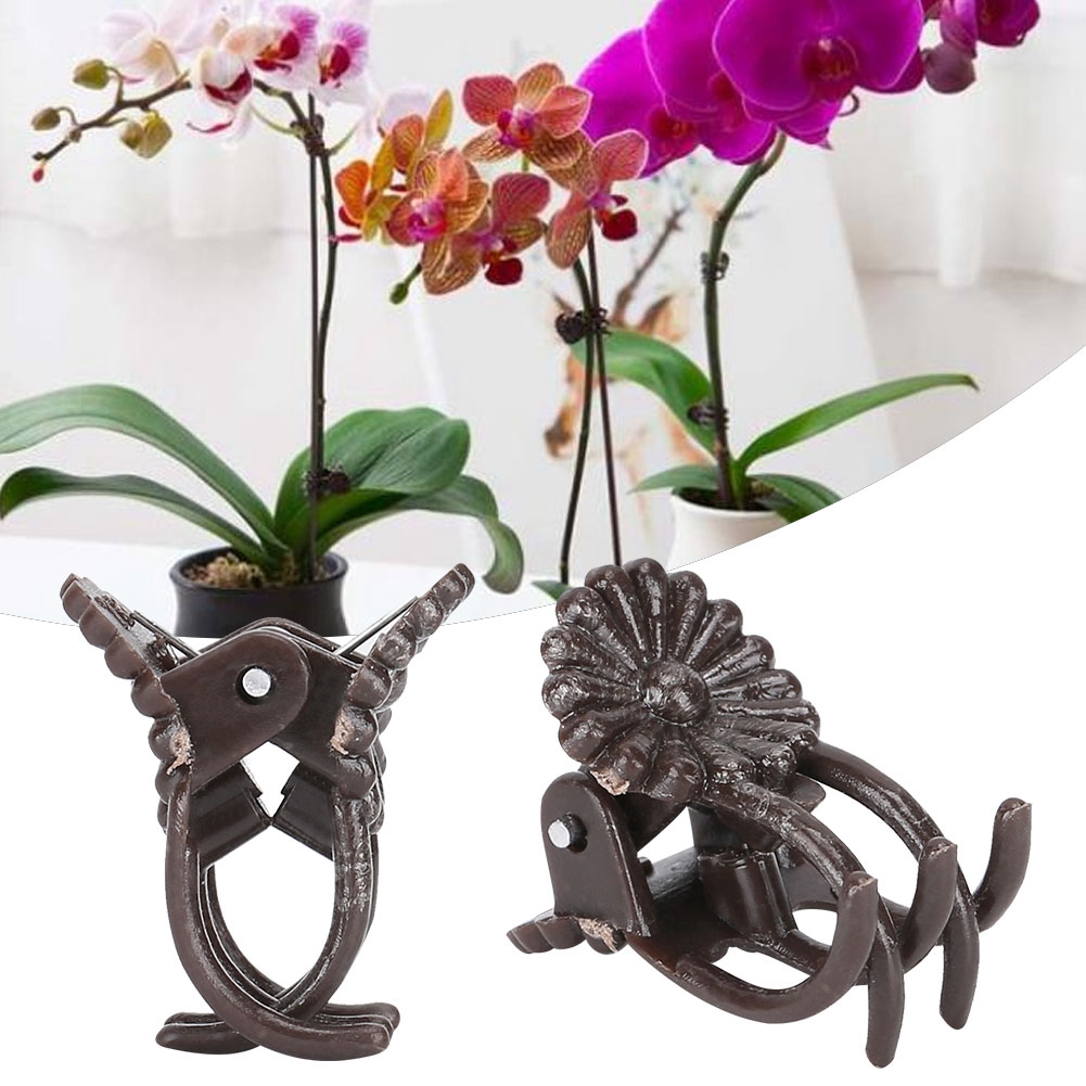 200 Stück Pflanzenbinder In Blütenform Zur Befestigung Von Stängeln, Orchideenstützen, Gewächshaus, Garten, Kunststoff, Braun, 2 X 1 Cm