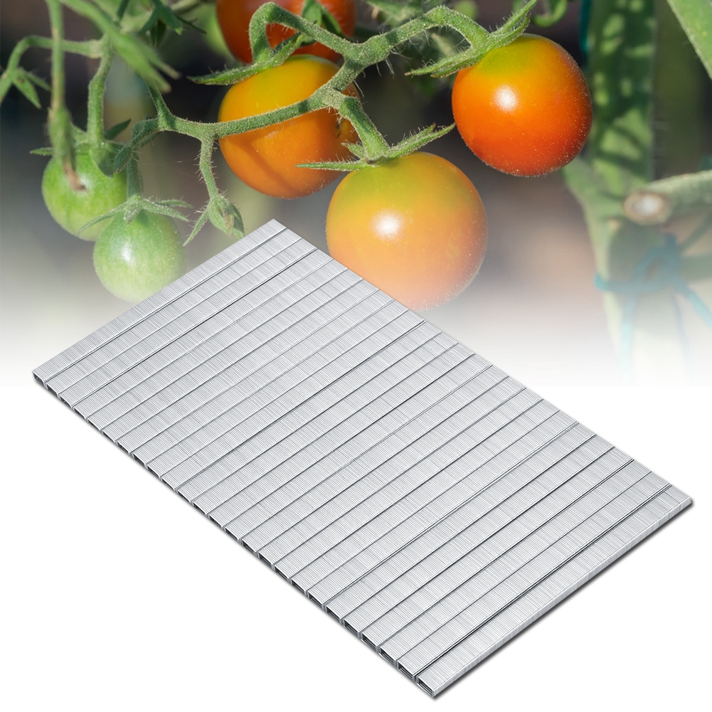 10000 Stück 604c Tomatenranken-bindenagel-klebeband-werkzeug Gartennagel Astbindenagel