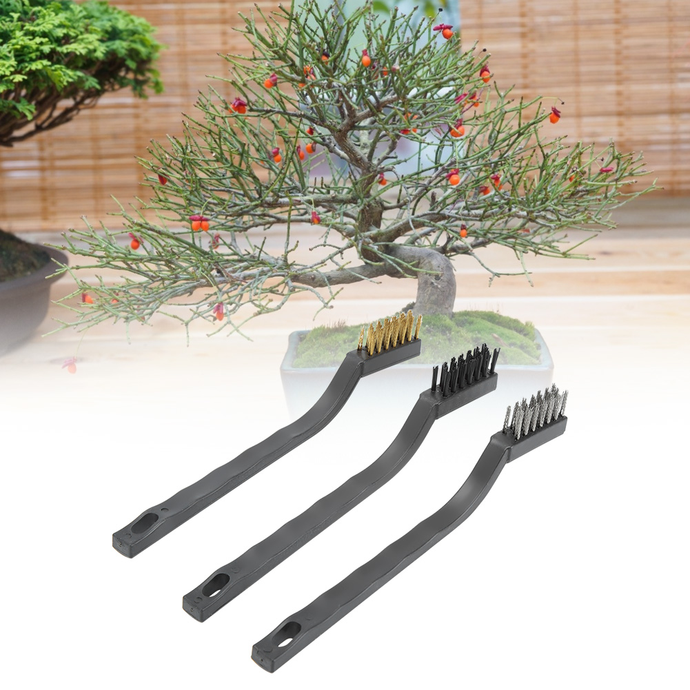 Set Aus 3 Stahldrahtbürsten Mit 17 Cm Langen Kunststoffgriffen Zum Reinigen Von Bonsairinde Und Entgraten Im Garten
