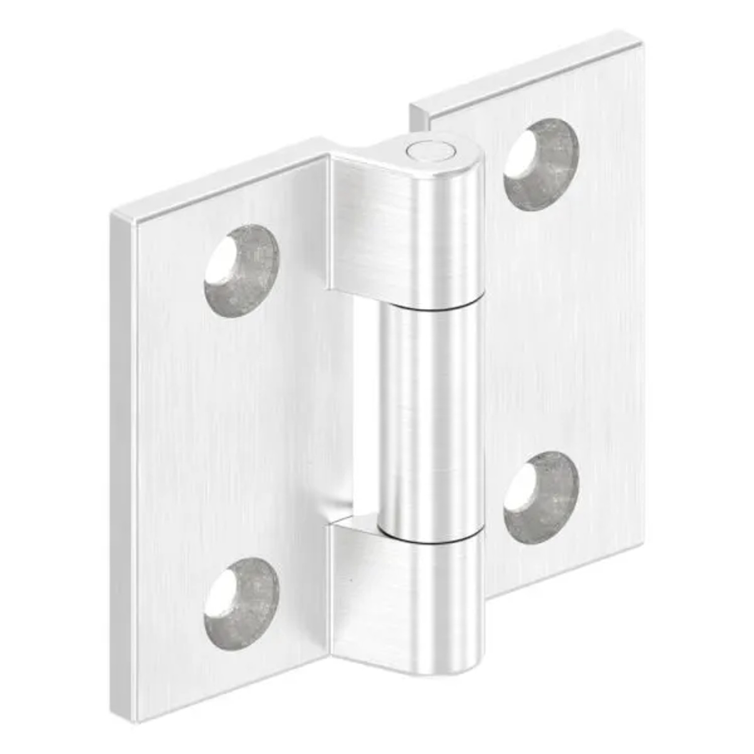 FeNau Anschraubscharnier Edelstahl V4A Für Flache Profile Zum Anschrauben
