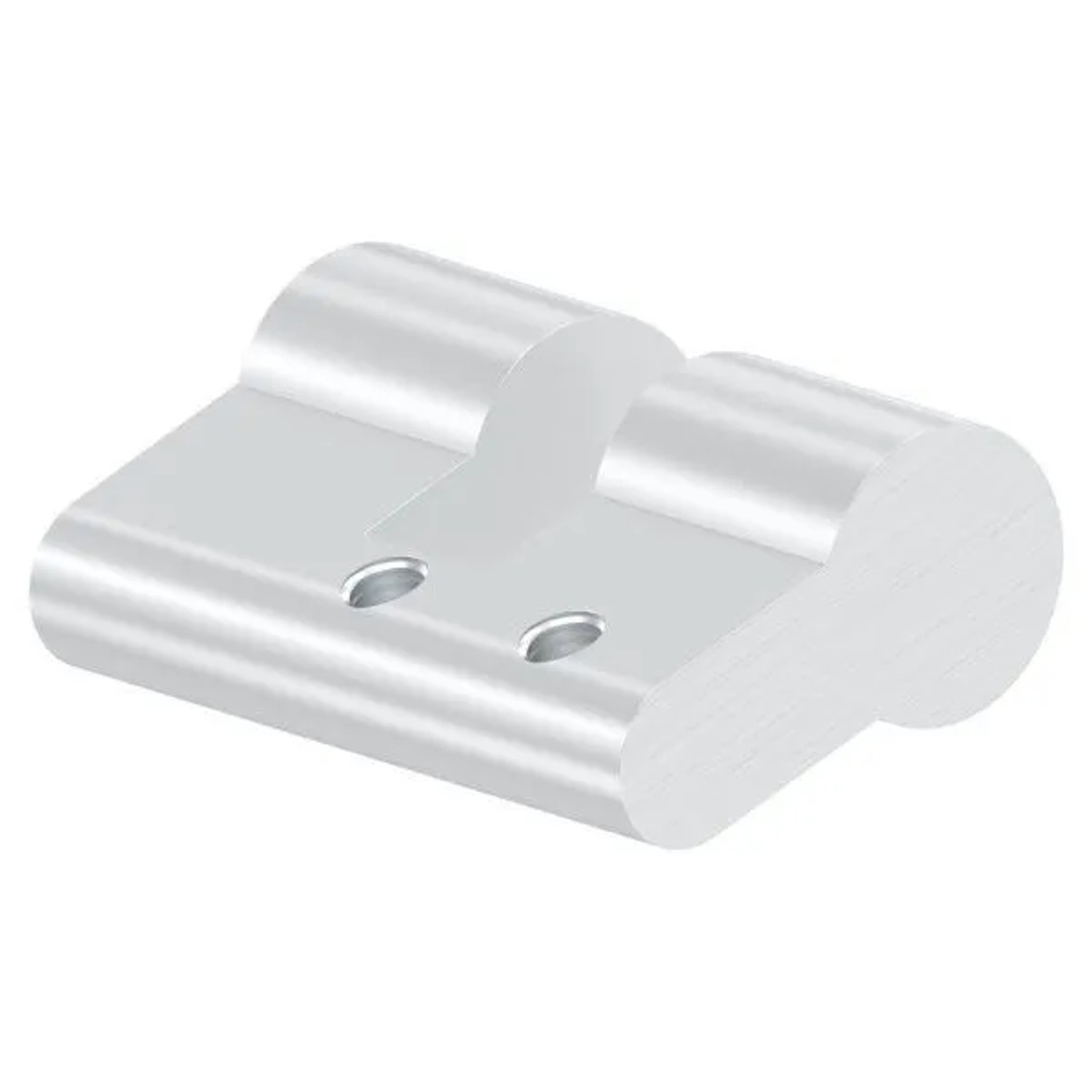 FeNau Profil-Blindzylinder L 50 mm Für 10/40 Und 25/25 Mit Stulpschraube M5x80