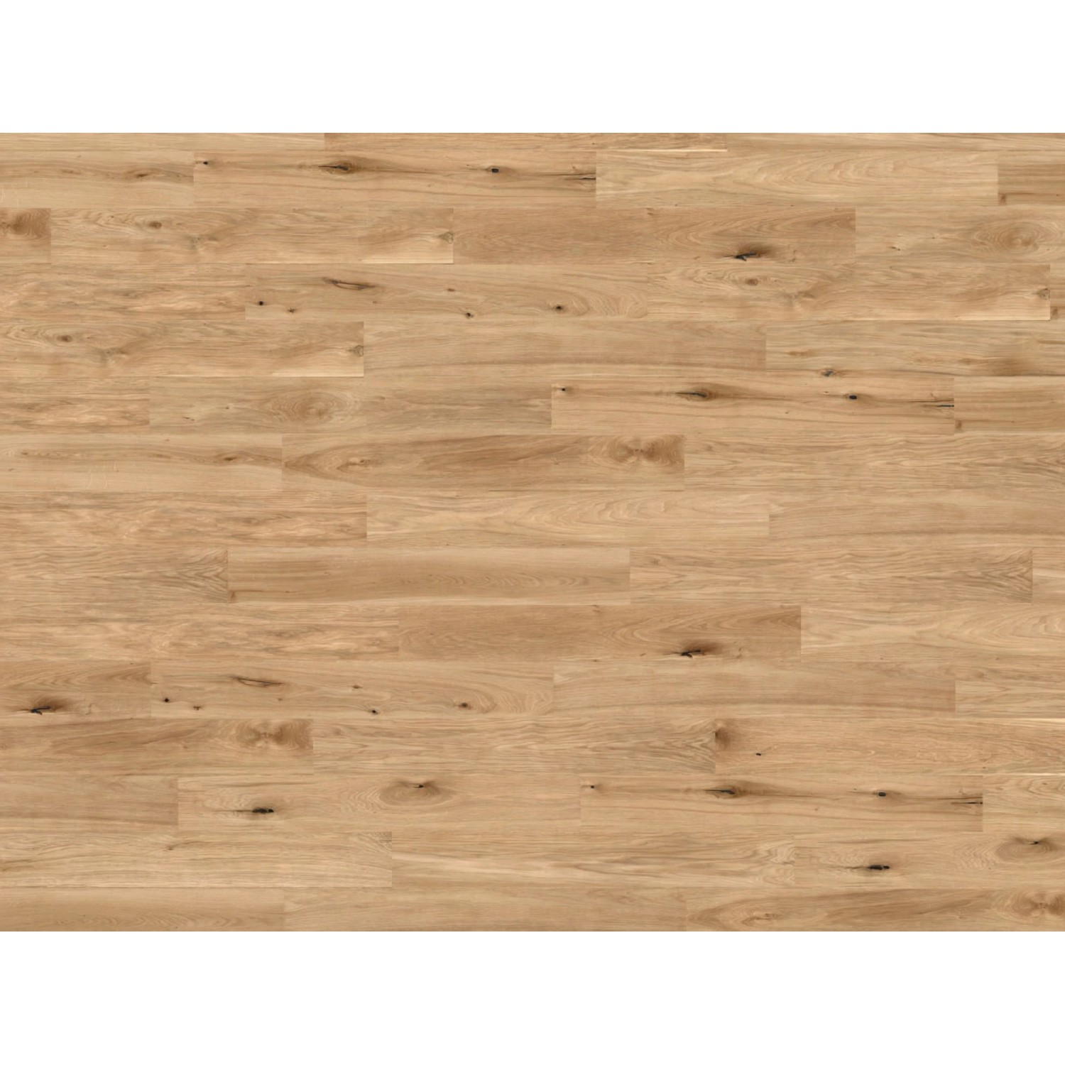 WICANDERS Korkboden Naturboden Wood Start Green Design Panama Oak Honey