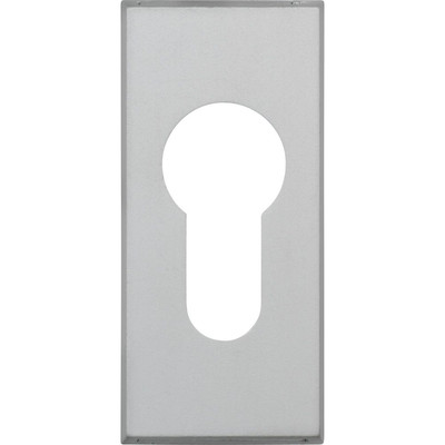 PT-SI-Schieb.Schlü.ros., RS306 C/DFNLI, PZ,RH6, Aluminium, naturfarbig eloxiert