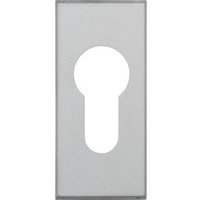 PT-SI-Schieb.Schlü.ros., RS306 C/DFNLI, PZ,RH6, Aluminium, naturfarbig eloxiert Bild 2