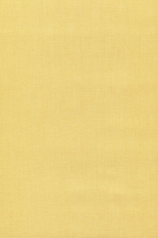 Rollo Basisrollo Tageslicht Pastellgelb, LYSEL®, blickdicht, HxB 175x82cm Bild 4
