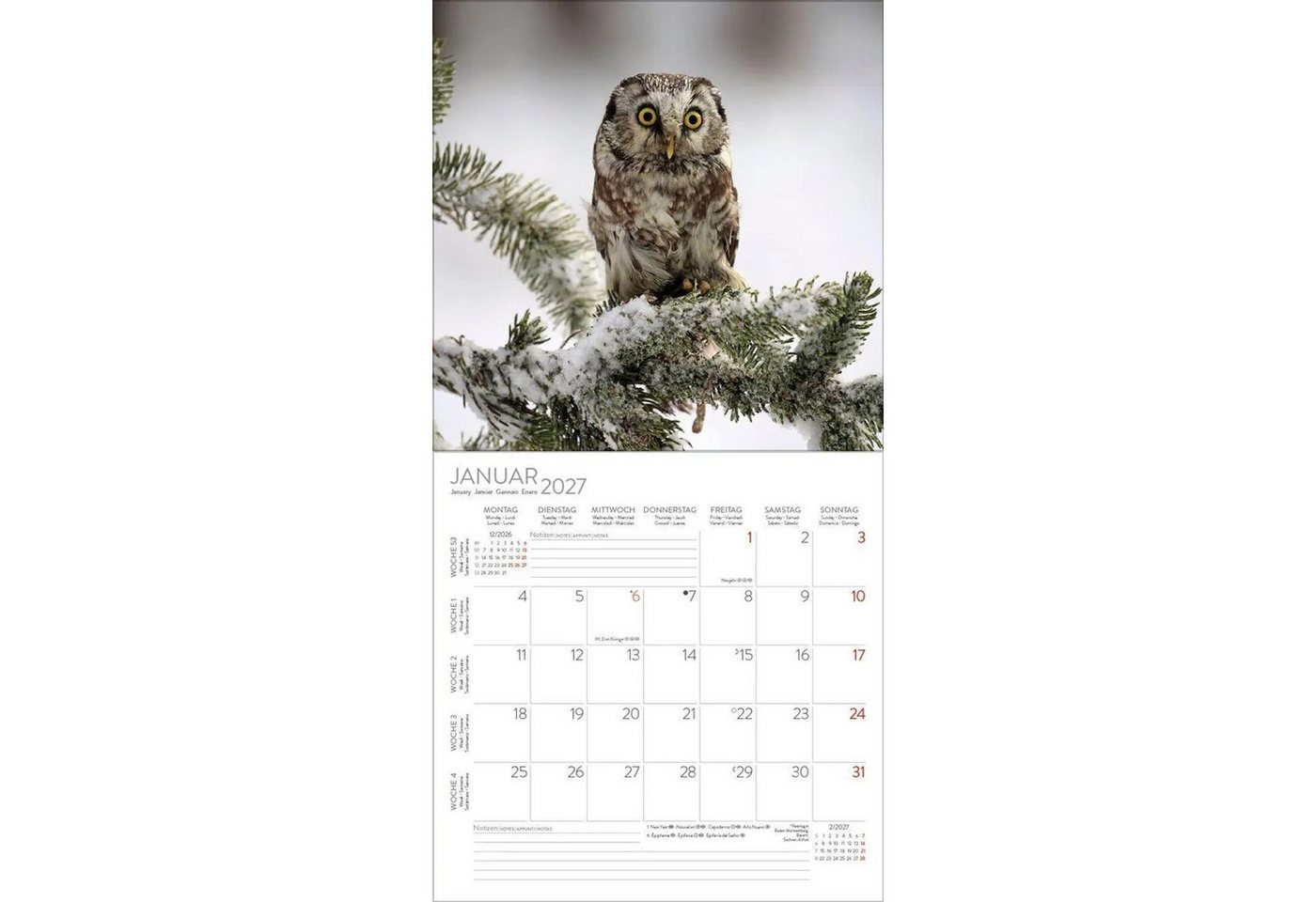 Korsch Verlag Wandkalender Eulen 2027