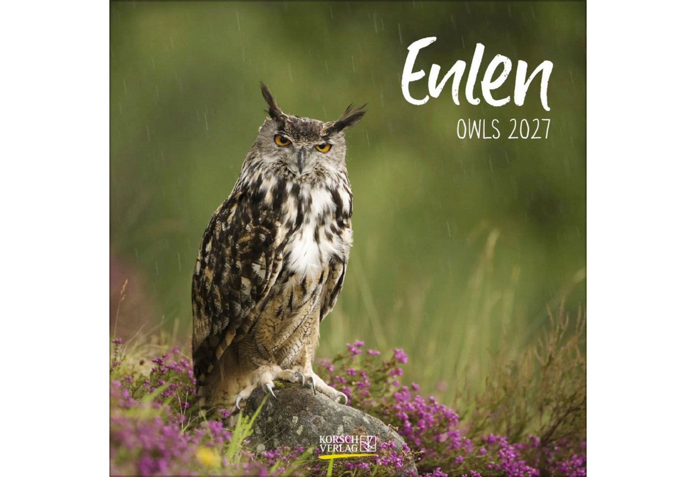 Korsch Verlag Wandkalender Eulen 2027 Bild 5