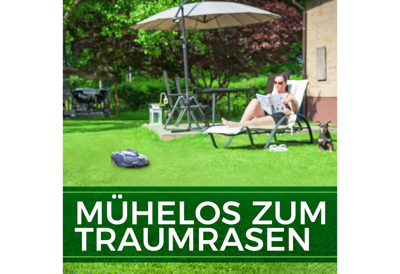 Natureflow Rasensamen schnellkeimend, selbstdüngend, TEST SEHR GUT, 100% Keimgarantie, 5 kg, 5 kg