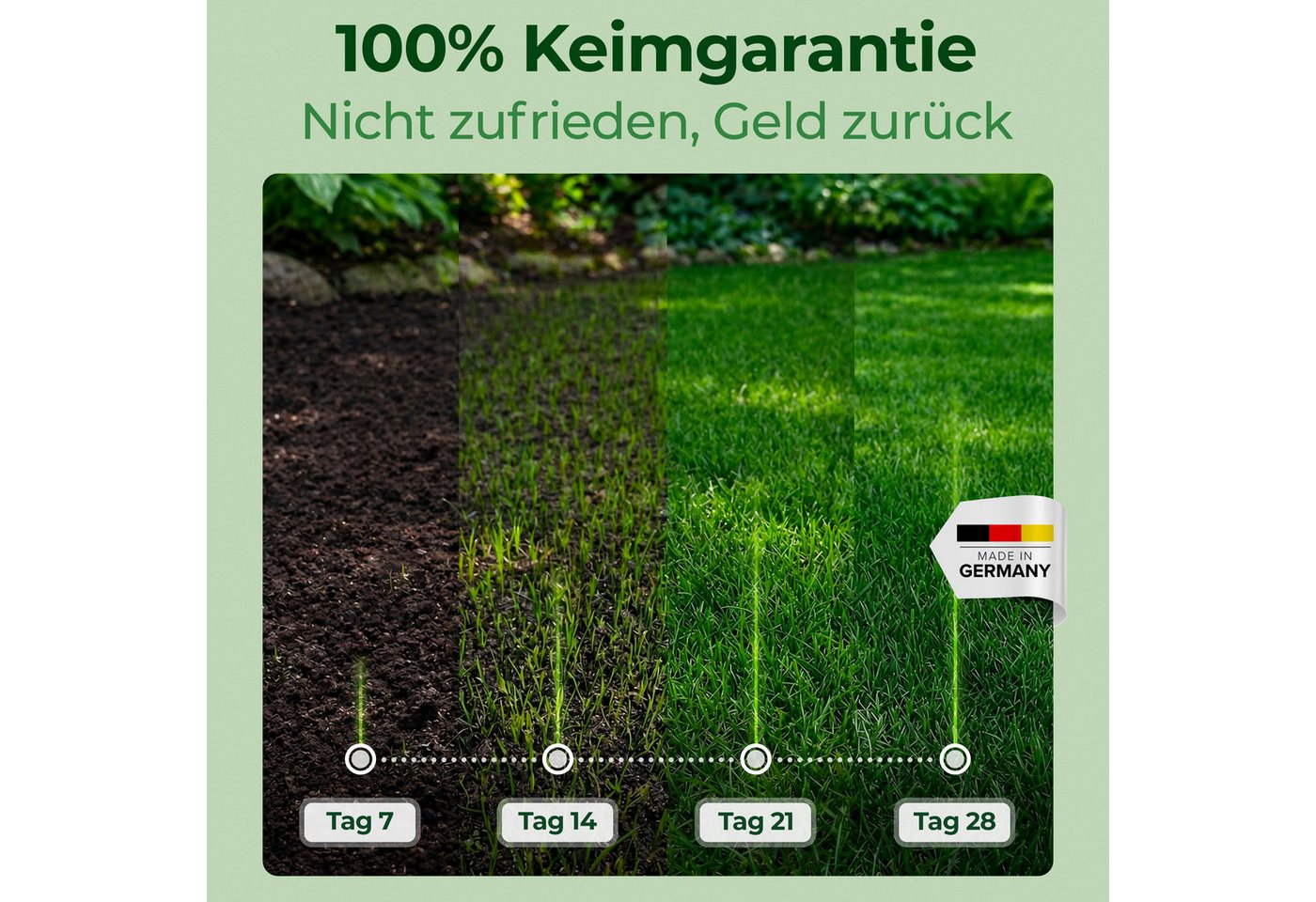 Natureflow Rasensamen für schattige Flächen, schnellkeimend, TEST SEHR GUT, 100% Keimgaranti, 1 kg Bild 2