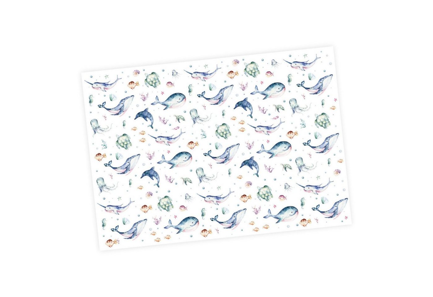 nikima Packpapier Meerestiere bunt Aquarell Geschenkpapier, 5 Bögen