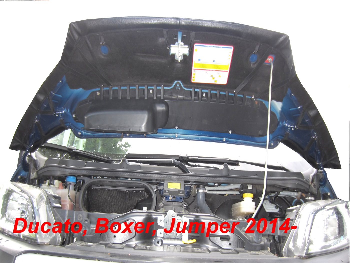auto-bra Autoplane Steinschlagschutz kompatibel mit Ducato Boxer Jumper 2014 - Bonnet BRA, Motorhaubenschutz, Haubenbra, Steinschlagschutz, Insektenschutzmaske. Bild 3