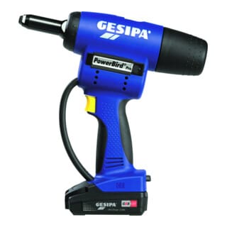 PowerBird Pro Gold Edition CAS mit 2 Li-Ion Akkus 18V - 2,0 Ah / Ladegerät in L-Boxx