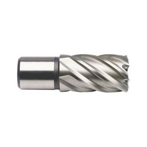 Kernbohrer HSS-Co 8 % 20,0mm Schnitttiefe 30,0mm