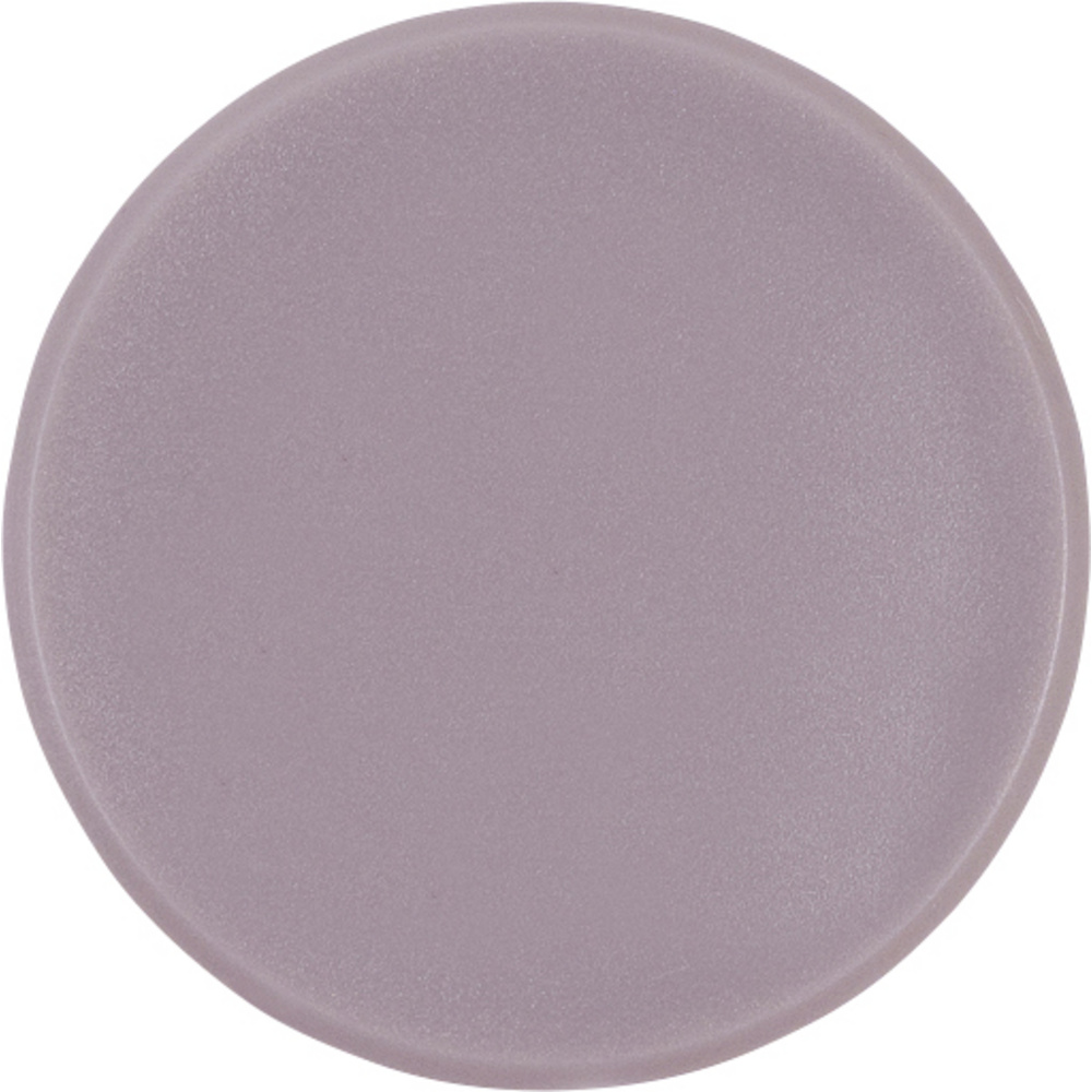 Magnetoplan Magnet Basic Serie (ø) 38 Mm Rund Grau 10 St. 1863801