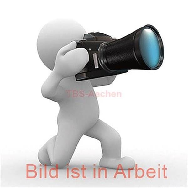 Endkappen mit Selbstklemmung ∙ 1.000 V 196V-20/5 ∙ 5-teilig