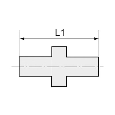 Doppelgewindenippel, R 1/4", A, SW 14, Edelstahl 1.4408