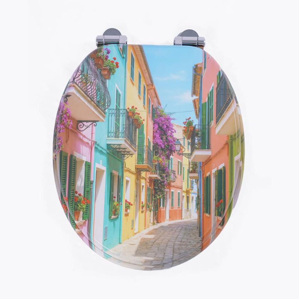 Homseat Mdf Toilet Seat With Soft Close Function, Colorful City